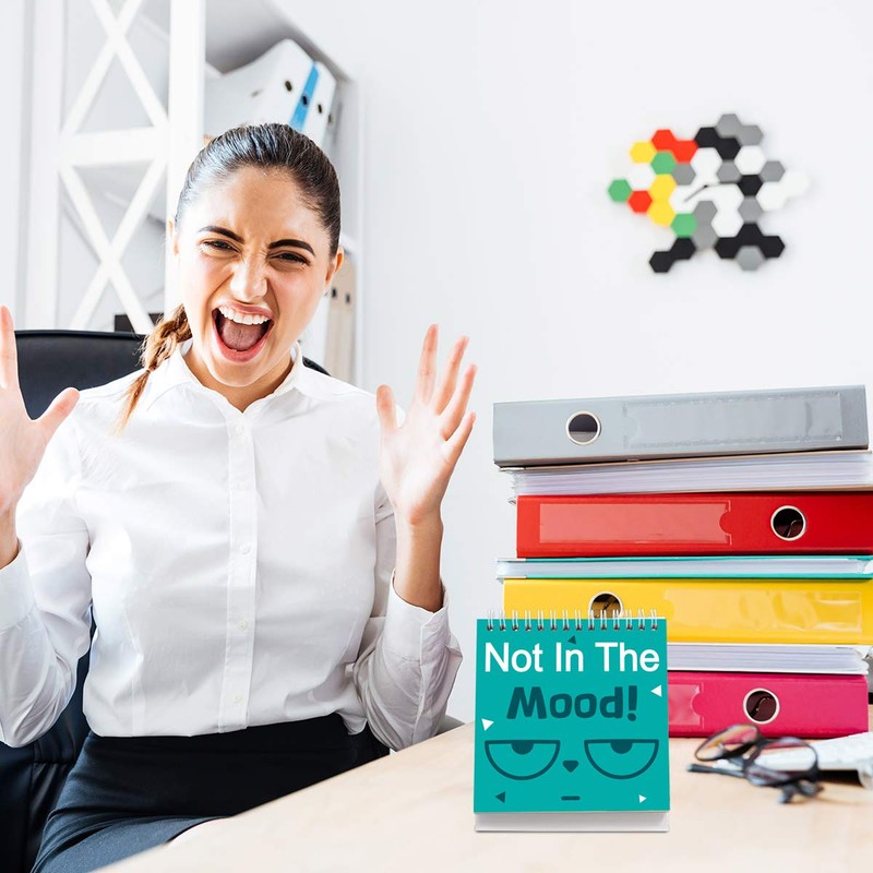 Fancy Land Funny Desk Signs 30 Different Fun and Flip-Over