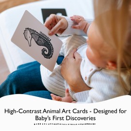 Wee Gallery Art Cards for Baby, Durable High Contrast Black and White Animal Flashcards for Newborns, Brain Development, Sensory Toys, Tummy Time Essentials for Infant and Toddler - Jungle Animals