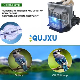 QUJXU 331-2839/317-1135/725-10134/725-10284 Replacement Lamp Special Upgraded Design Bare Bulb Inside with Housing for Dell 4220 4320 4210X 4310WX 4610X Projector Lamp
