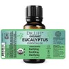 DR. LIFT Organic Eucalyptus Essential Oil, 1 oz - Made