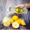 James’ Lemonade – Original Lemon Juice Recipe w/ Fresh Mint–