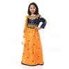 Ashwini Traje Salwar bordado de poliéster para niña con falda