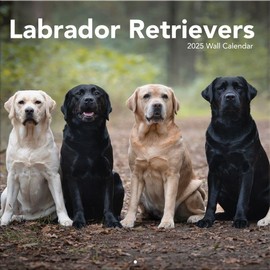 TURNER PHOTOGRAPHIC Labrador Retrievers 12x12 Photo Wall Calendar (25998940083)
