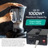 LiteFuze 1000W Step-Up/Step-Down Transformer with Dual Sockets - Premium Copper