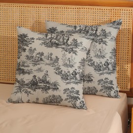 AGAYNA Black Grey French Country Pillow Covers 18x18 Vintage Beige Throw Pillows for Couch Retro Rustic Cottage Outdoor Pillowcase Farmhouse Decorative Cushion Case for Sofa Bed Decor Set of 2