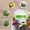 Succulent Cactus Potting Soil Mix (4 qt), All-Purpose Garden Soil