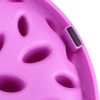 Pet Dog Slow Food Feeder Anti Choke Cat Eating Bowl