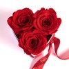 ROSEMARIE SCHULZ Heidelberg Infinity Rose Box Heart - 10 x