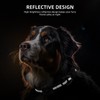 Upgraded AirTag Dog Collar, IP68 Waterproof Air Tag Dog Collar