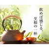 Higa Seicha Sanpin Tea Bags (10 Bags)