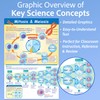 NewPath Learning Mitosis and Meiosis Poster - Laminated, Full-Color, 23"