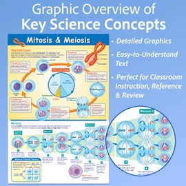 NewPath Learning Mitosis and Meiosis Poster - Laminated, Full-Color, 23" x 35"