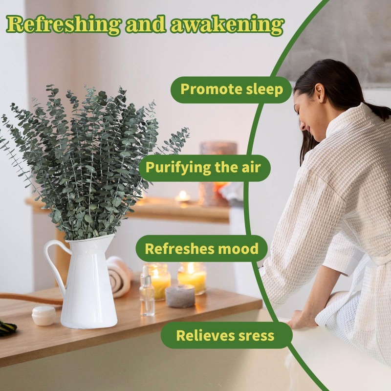 24 PCS Real Dried Eucalyptus Stems for Shower Hanging-17'' Large