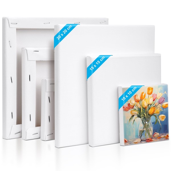 Kigniote Canvas Set 6 PCS Canvas for Painting 20 x