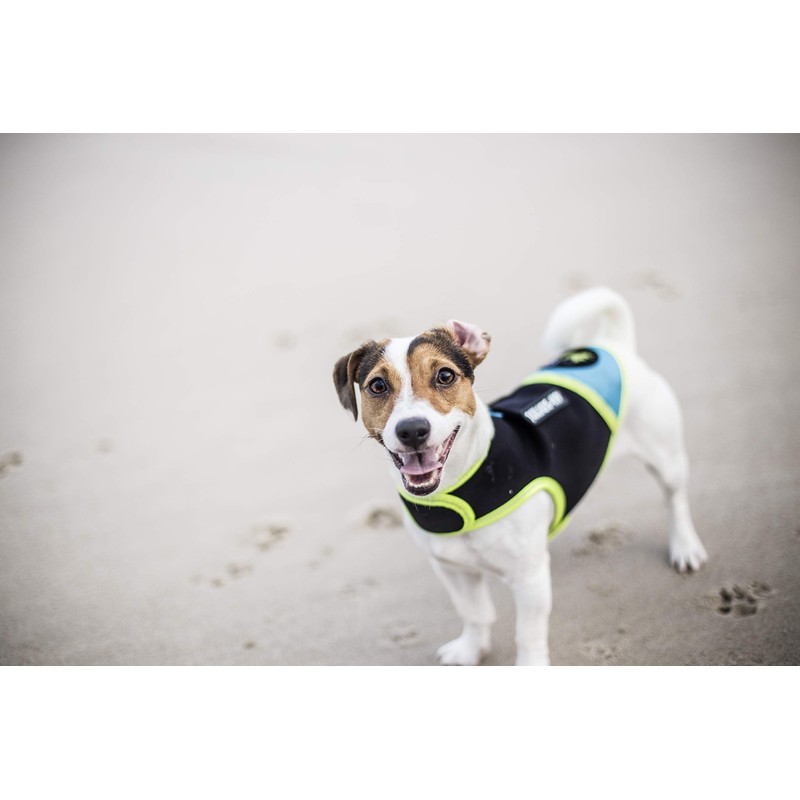 Julius-K9 IDC Neoprene Dog Clothing