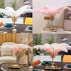 Happy Feather 16-18 inch Yellow Ostrich Feathers Craft for Wedding