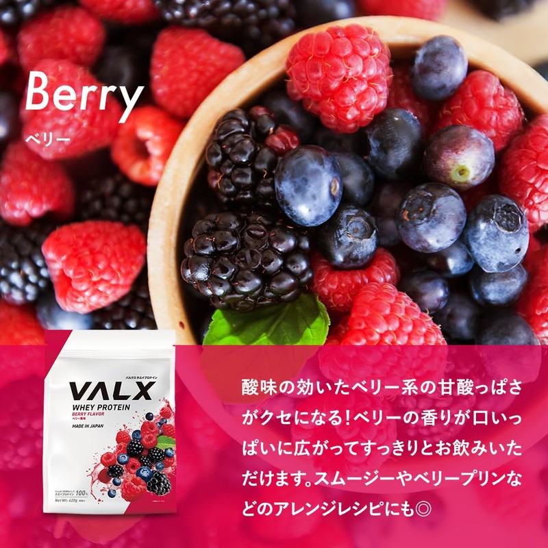 VALX VALX Whey Protein 14.8 oz (420 g) Berry Flavor,