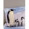 BrandMac Bed Linen Set with Penguin 135 x 200 cm