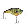 Frittside HD Bluegill 5 (1/3oz)