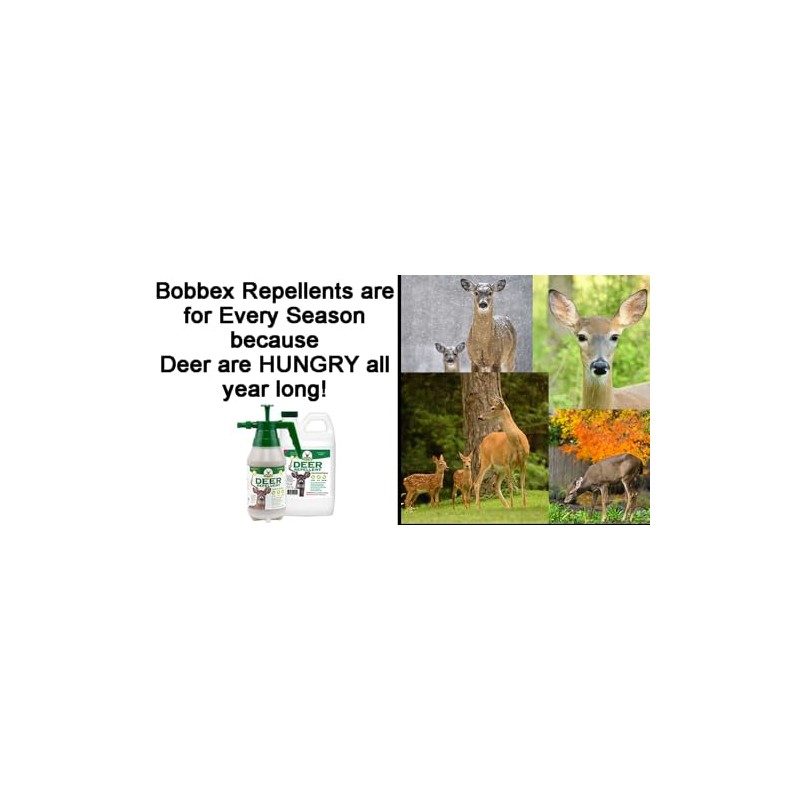 Bobbex Deer Repellent Half Gallon Concentrate and Gallon Pump Sprayer