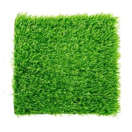 Beetoo Fairy Artificial Garden Grass Lawn, Miniature Ornament Garden Dollhouse DIY Faux Grass, 6 x 6 Inches (4 Pack)