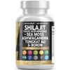 Clean Nutraceuticals Shilajit Supplement for Men with Sea Moss, Tongkat