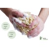 Skin Unique Mediterranean Natural Sea Sponge in Gift Box -