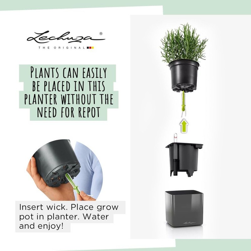 Lechuza Cube - Glossy, High-Quality Plant Cube with Stick Irrigation