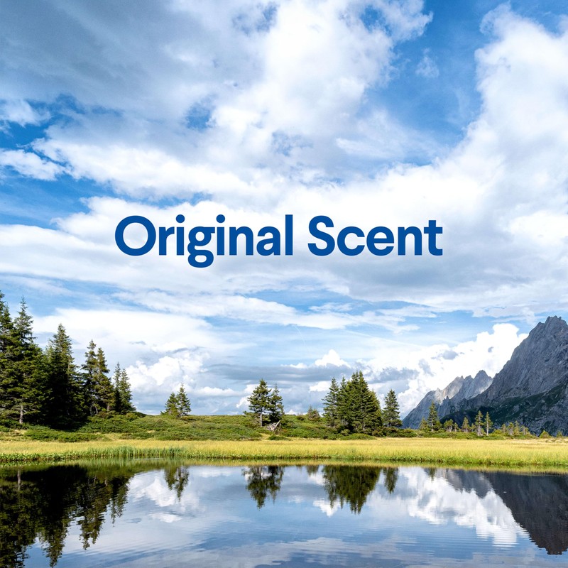 Clorox Clean-Up All Purpose Cleaner with Bleach Original, Household Essentials,