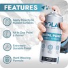 Polar Satin Black Direct to Rust Spray Paint - 2