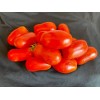 50+ Opalka Heirloom Paste Tomato Seeds