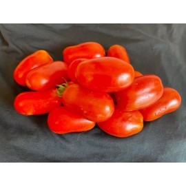 50+ Opalka Heirloom Paste Tomato Seeds