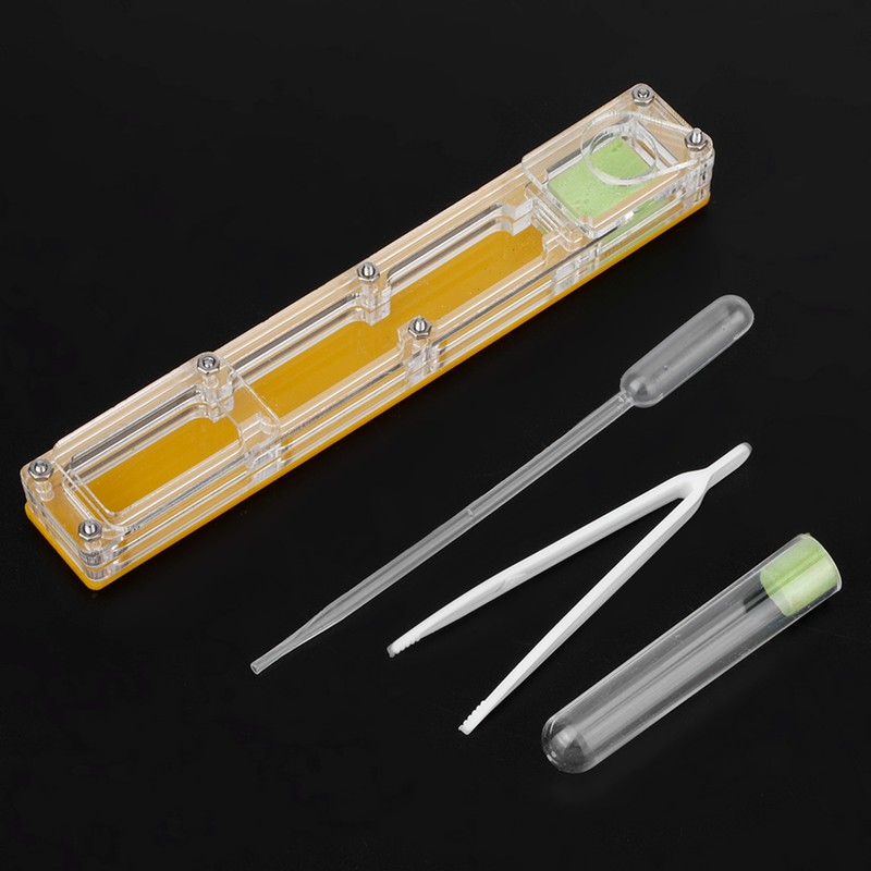 Acrylic Ant Breeding House Nest Formicarium Display Box with Water