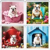 Bulldog Coaster Set. 4 different Bulldog Pictures on 10cm x