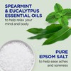 Dr Teal's Foaming Bath with Pure Epsom Salt, Relax &