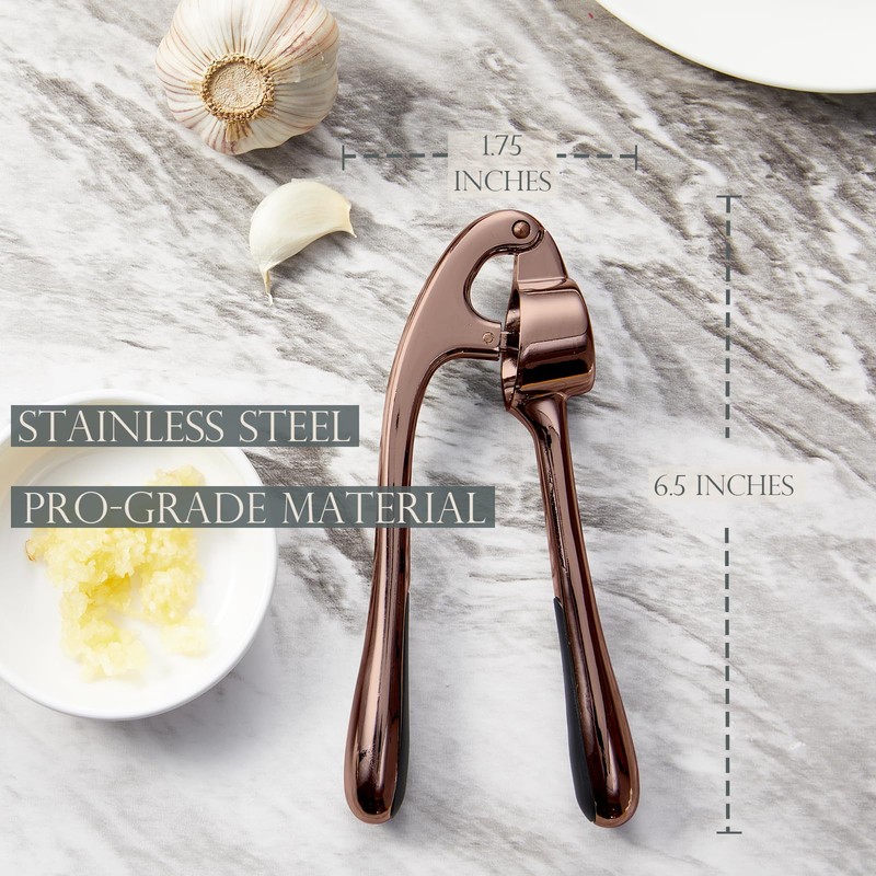 Premium Garlic Press, Professional Garlic Mincer, Easy to Squeeze and
