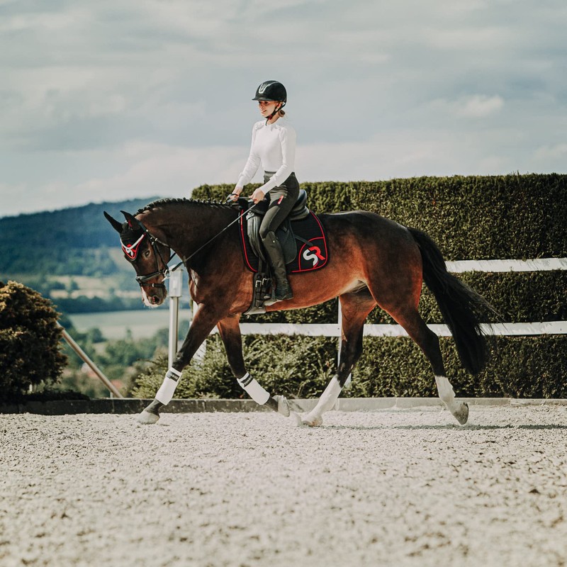 Sunride Bandaging Pads with Velcro for Horses to Protect Against