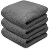 Towelogy® Super Absorbent Microfibre Cloth | Absorbs Over 10 Times