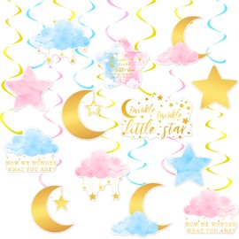 Twinkle Twinkle Little Star Gender Reveal Decorations 20pcs Blue and Pink Baby Shower Hanging Swirls Star Moon Cloud Theme Ceiling Streamer Decor for Boy or Girl Baby Shower Party Supplies