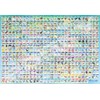 ENSKY Pokémon Galar Pokédex No. 001~No. 400, 20.1 x 29.9