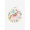 DMC Stitch Kit 6" Diameter - Unicorn (14 Count)