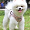 AIMALL Kitten Dog Cat Walking Harness Lead Leash Collar Pet