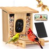 PeckCam® Bird Feeder with Camera - 4MP 2K Live AI