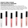 LARITZY Holographic Lip Gloss ~ OLD ROSE ~ Hydrating Topcoat
