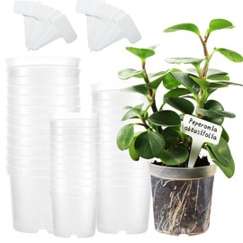 36 Packs 3.5/4/4.3 Inch Clear Nursery Pots for Plants Variety Pack, Transparent Plastic Plant Pots with Drain Holes, Seed Starting Pot Clear Planter Container with 20 Plant Labels for Gardening
