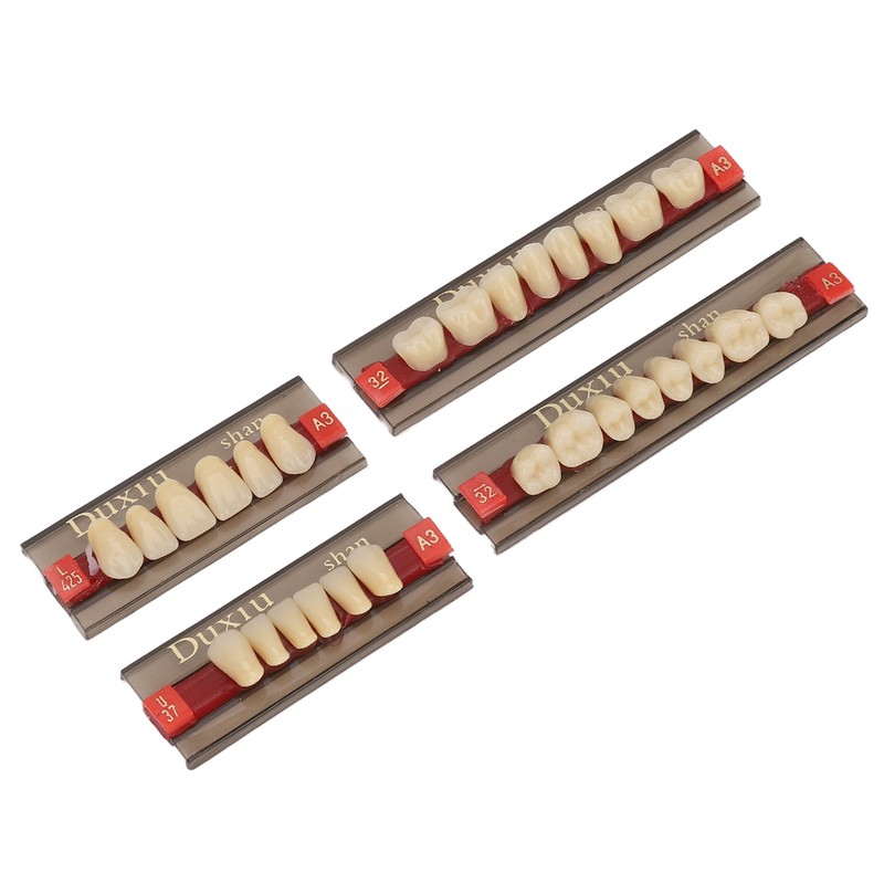 Dental Synthetic Resin Denture Tooth Professional Men Women Shade A3