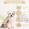 Dog Sweaters 2-Pack Australia - Warm Knitted Turtleneck Jumpers for
