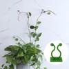 Plant Climbing Wall Fixture Clips – Self Adhesive Plant Vine
