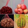 Watermelon Nets, 100 Pack 19.48in Hanging Watermelon Nets Bags Melon