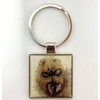Alex Clark Prickles Hedgehog Keyring
